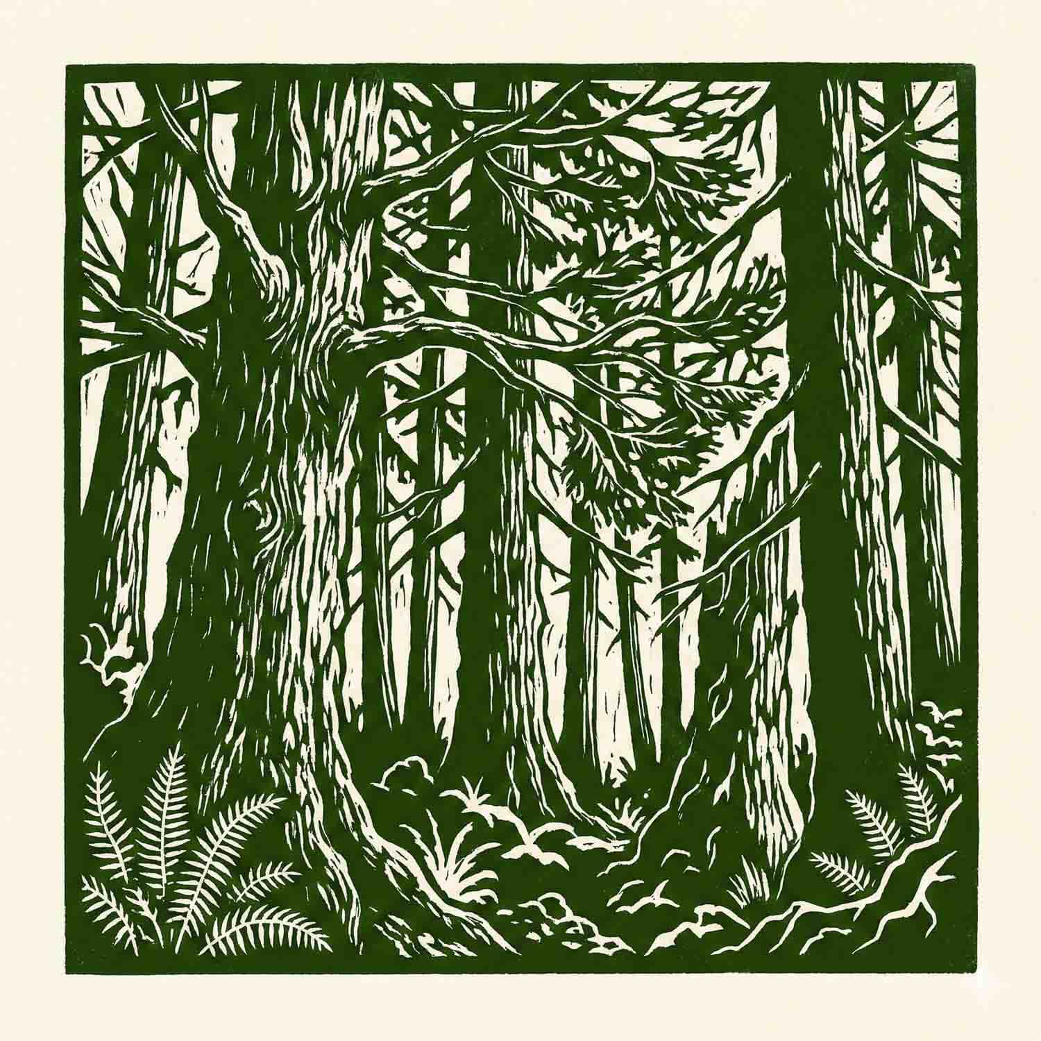 Winter Waters Festival